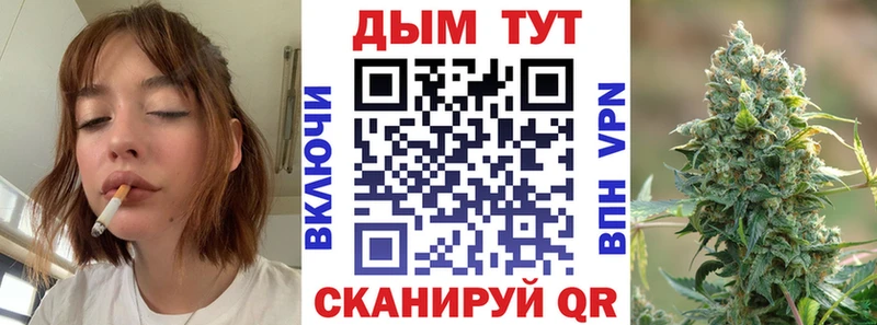 Купить где  Мегион  Конопля SATIVA & INDICA 